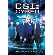 CSI: Киберпространство 1-2 сезон  (2015)