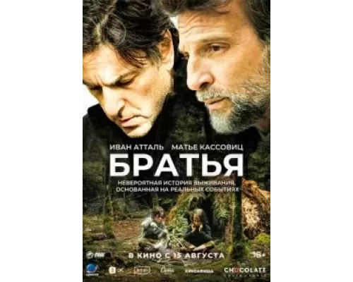Братья смотреть онлайн Братья смотреть онлайн