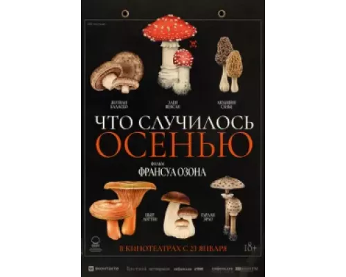 Что случилось осенью смотреть онлайн Что случилось осенью смотреть онлайн