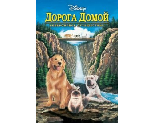 Дорога домой: Невероятное путешествие смотреть онлайн Дорога домой: Невероятное путешествие смотреть онлайн