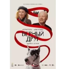 Друг (2024)