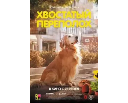 Хвостатый переполох смотреть онлайн Хвостатый переполох смотреть онлайн