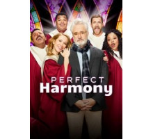 Идеальная гармония 1 сезон  (2019)