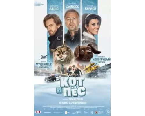 Кот и пёс смотреть онлайн Кот и пёс смотреть онлайн