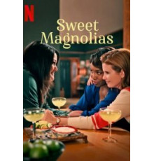 Милые магнолии 1-4 сезон  (2020)