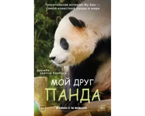 Мой друг панда смотреть онлайн Мой друг панда смотреть онлайн