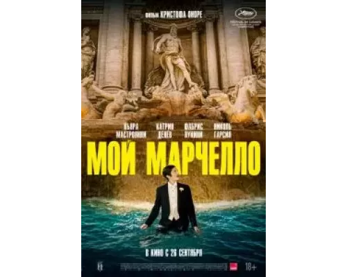 Мой Марчелло смотреть онлайн Мой Марчелло смотреть онлайн