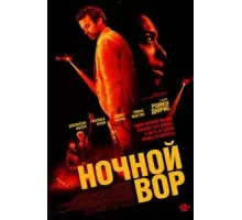 Ночной вор (2024)