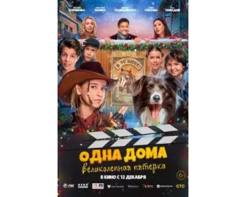 Одна дома: Великолепная пятерка смотреть онлайн Одна дома: Великолепная пятерка смотреть онлайн