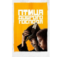 Птица доброго господа 1 сезон (2020)