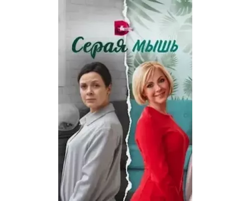 Серая мышь 1 сезон смотреть онлайн Серая мышь 1 сезон смотреть онлайн