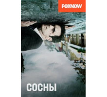 Сосны 1-2 сезон  (2015)
