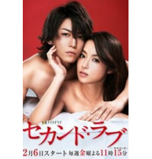 Вторая любовь 1 сезон  (2015)