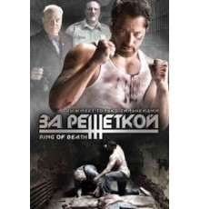 За решеткой (2008)